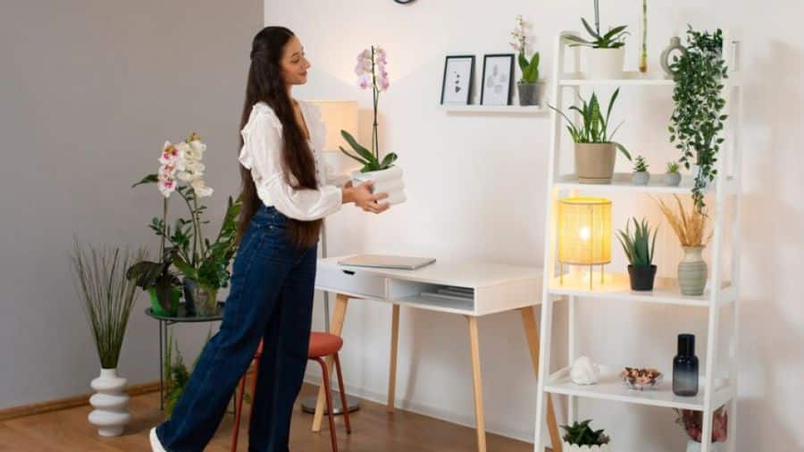 mulher colocando vasos de plantas para climatizar um quarto